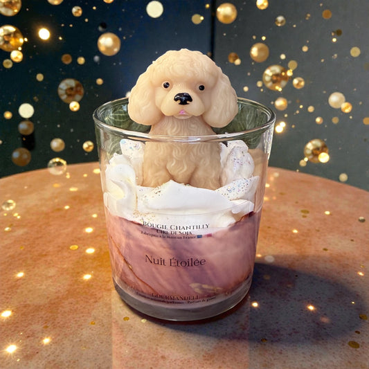 🌙✨ Bougie Chantilly Compagnon d’Étoiles – Édition Rêve Céleste