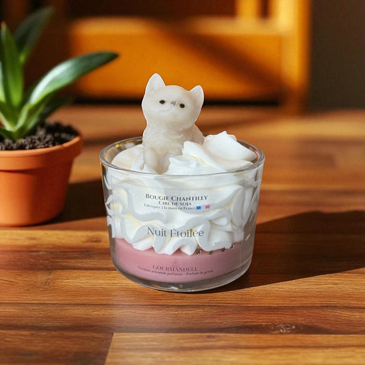 Bougie Chat Nuit Étoilée – 140 g ou 170 g